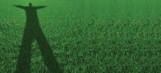 shadow on grass