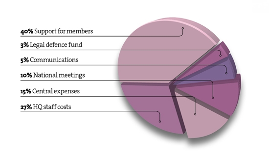 Pie chart