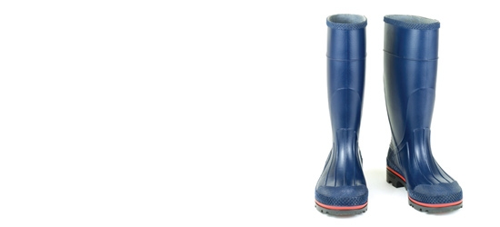 wellies.jpg