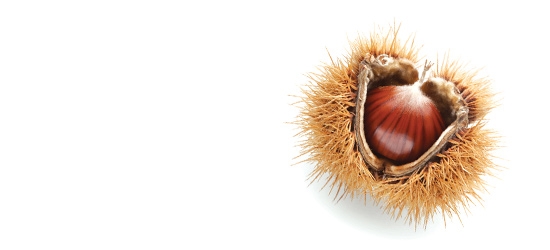 Conker