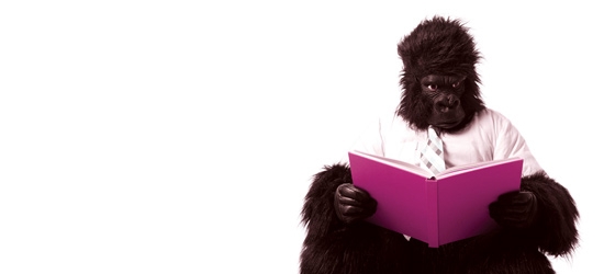 Gorilla reading a book