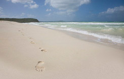 Footprint in the sand