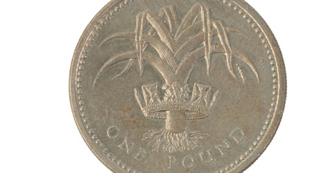 One pound coin